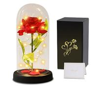 Touloube Rosa Eterna Regalo de San Valentín para Ella Mujeres, La Bella y la Bestia Rosa, Kit de Rosas,Elegante Cúpula de Cristal con Luces LED, Regalo de Flores Artificiales, Mamá, Esposa