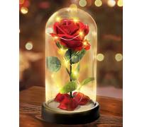 Touloube Rosa Eterna Regalo de San Valentín para Ella, Rosa Sant Jordi Roja con Base y Tarjeta de Felicitación, Regalo de Flor de Rosa en una Cúpula de Cristal Regalos para Mamá,Abuela,Novia,Mujeres