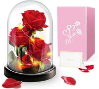 Touloube Rosa Eterna Regalo de San Valentín para Ella, Rosa Sant Jordi Roja con Base y Tarjeta de Felicitación, Regalo de Flor de Rosa en una Cúpula de Cristal Regalos para Mamá,Abuela,Novia,Mujeres