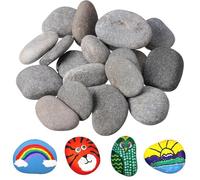 Touosy 24 Piezas Piedras para Pintar Piedras Decorativas Kit Dibujo Niños Creativo Juego de Pintura para Pintar de Roca Manualidades Macetas Acuarios Rocas Playa Decoración Jardín