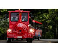 Tour en tren por la Península de la Magdalena (Santander) + Bus turístico 24h