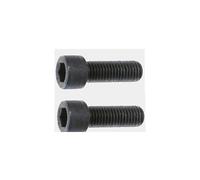 Touren Wheels Screw Kit for C1032602R Center Cap Qty 2