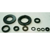 Tourmax Juego de sellos del husillo del motor