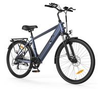 Touroll Bicicleta Eléctrica J2, 26'' Neumáticos, Batería 15.6Ah, Motor de 250 W y 45 N.M, Autonomía de 100 KM, Ideal para Quienes Viajan por La Ciudad