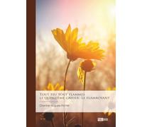 Tout feu tout flammes - le quinzième cahier : Le flamboyant