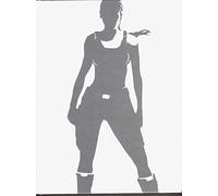 Tout l'univers de Tomb Raider: Explorer le passé, préparer l'avenir