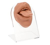 TOVINANNA 1juego Modelo De Lengua Para Práctica De Piercing Simulación Realista De Boca Con Base Herramienta Didáctica Para Demostración y Exhibición De Joyas