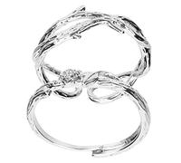 TOVINANNA 2 Piezas Anillo de de rosas anillos de promesa de anillos a juego de parejas anillos anillos para el amante anillos de a juego aleación Plata
