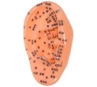 TOVINANNA Acupuntura Auricular para Enseñanza en Medicina Tradicional Zona de Masaje Pvc 130