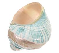 TOVINANNA Conchas Marinas Naturales Mediterráneas Colección de Conchas Temática Oceánica Adorno Decorativo para Acuario y Decoración Náutica de Mesa Juguete Educativo Interactivo para