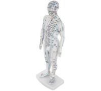 TOVINANNA Maniquí de Acupuntura del Cuerpo Humano Masculino, Figura de Puntos de Meridianos en Plástico Blanco para Aprendizaje y Educación