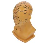 TOVINANNA Modelo de Cabeza de Acupuntura para Masaje Facial Enseñanza de Puntos de Acupuntura Modelo de Cabeza Humana Profesional Color Cobre