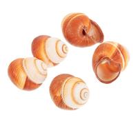 TOVINANNA Set de 5 Conchas Naturales Gruesas para Hornear Caracoles al Estilo Francés Ranuras Que Evitan el Movimiento de Alimentos, Aptas para Cocina Doméstica y Horno Microondas