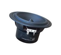 TOWARDSNAN Altavoz subwoofer HIFI de 5.25 pulgadas de rango medio, construcción de goma de metal que mejora la respuesta de graves potente controlador de graves Hifi