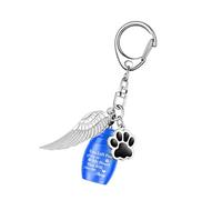 TOWARDSNAN Pet MemorialS - Colgante de urna de acero inoxidable con forma de alas para recuerdos perduraderos, cadena de urna de acero inoxidable