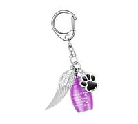TOWARDSNAN Pet MemorialS - Colgante de urna de acero inoxidable con forma de alas para recuerdos perduraderos, cadena de urna de acero inoxidable