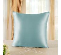 townssilk Doble Cara 100% 19 mm Funda de Almohada de Seda Pura de moras para la Salud del Cabello y la Piel Funda, de Almohada con Cremallera Oculta, 1 Pieza 1 Pezzo, 80x80cm, Aquagreen