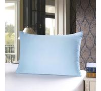 Townssilk Doble Cara 100% 19 mm Funda de Almohada de Seda Pura de moras para la Salud del Cabello y la Piel 1 Pieza de 50x80cm Funda de Almohada con Cremallera Oculta Iceblue