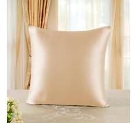 TOWNSSILK - Funda de Almohada 100% de Seda de Morera, cuida el Cabello y la Piel, Ambos Lados de Seda de 19 Momme, 1 Unidad,Gold， 80 x 80 cm