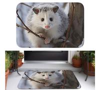 TOXOCMDKLE Felpudo de bienvenida de terciopelo de cristal antideslizante para puerta delantera, tapete de zarigüeya en nieve, lavable a máquina, lavable a máquina, para interiores y exteriores, 40 x