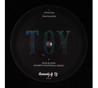 TOY - dead & gone / remix