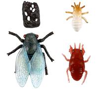 TOYANDONA 1 Juego Figuritas de Cicada del Ciclo de Juguetes Educativos de Simulación de para Aprendizaje y Decoración para Rellenar Bolsas de Fiesta y