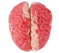 TOYANDONA 1 Pc De Terror De Halloween Apoyo De La Casa Embrujada Halloween Suministros Sangre Artificial De Halloween Juguete De Broma De Halloween Cerebro Frasco Rompecabezas