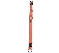 TOYANDONA 1 Pieza Cobertura Protectora del Collar De Mascotas Reflexivo para Caso De Etiqueta De Aire Largo Nombre Rastreador Cazador Collar De Perros Localizador Naranja Nylon
