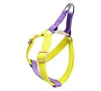 TOYANDONA 1 Pieza De Color para Perros Mascotas Genial para Perros Cintura Chaleco para Pasear Pequeño Chaleco Cachorro Púrpura Cinta De Poliéster
