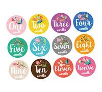 TOYANDONA 12piezas Pegatinas Para Bebés Stickers Mensuales De Para De Recién Nacidos y Shower