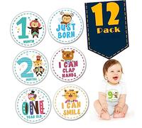 TOYANDONA 12piezas Tarjetas Adhesivas Del Mes Para Bebés Pegatinas Mensuales Forma De Animalito Creativas y Decorativas Mes De Recién Nacidos Para Seguimiento De Logros La Barriga
