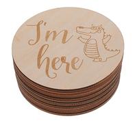 TOYANDONA 1juego Tarjetas De Madera Para Bebés Discos De Mensuales De Diseño De Animales De y Marcadores Fotográficos Para Del Crecimiento Del Recién Nacido