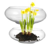 TOYANDONA 2 Piezas Cuenca de Narciso macetero de nenúfares Bol Redondo Vasos de pecera centros de Mesa florero de Vidrio florero de pecera jarrones de pecera Transparent