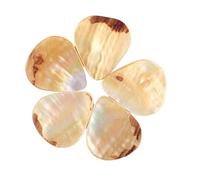 TOYANDONA 5piezas Selecciones De Púas Para Guitarra Eléctrica Púas Acústicas Para Instrumentos Musicales Para Tocar