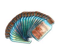 TOYANDONA Bolsas de Hielo Inyección de Agua 400Ml 20 Piezas PET Gruesas para Enfriar Alimentos y Aliviar Hinchazón Compresas Frías Reutilizables Portátiles para Cuidado Color Aleatorio