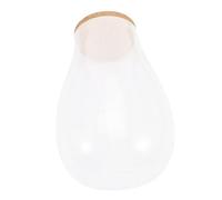 TOYANDONA Botella Eco Musgo Plantas de Interior terrario de Tarro de Plantas Tarro de terrario Botella Paisaje Mini Botella de ecosistema contenedor de terrario Vidrio