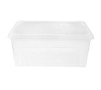 TOYANDONA Caja De Alimentación para Reptiles Transparente, Contenedor Plástico PP Duradero, Tamaño Mediano, Ventilación Orificio Pequeño, para Transporte y Cuidado De Arañas, Geckos y Tortugas