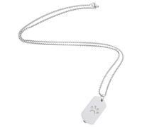 TOYANDONA Collar de Urna para Cenizas de Mascota en Acero Inoxidable Color Plata, Resistente a Decoloración y Deformación, Adecuado para Recuerdo de Perro o Gato