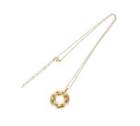 TOYANDONA Collar Urna para Cenizas de Mascota con Colgante de Acero Inoxidable Dorado Joyería Conmemorativa Ligera para Recuerdos de Perros y Gatos Caja Cremación Portátil para Huesos