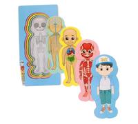 TOYANDONA De Madera para Set De Anatomía Montessori para Aprendizaje y Desarrollo Cognitivo Juguete Educativo