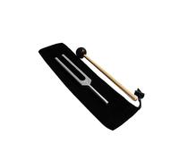 TOYANDONA Diapasón de Aleación de Aluminio y Bolsa de Transporte con Martillo de Silicona Médico para Pruebas Auditivas Neurosensoriales y Evaluación Audición