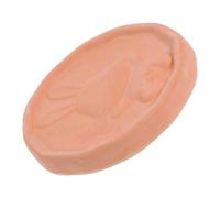 TOYANDONA Disco de Arcilla Roja para Conservación de Frutos Secos y Malvaviscos, Accesorio Versátil para Almacenamiento y Preservación en Cocina