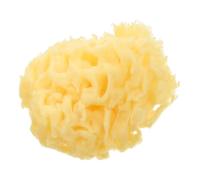 TOYANDONA Esponja Marina Natural para Baño 2.5-3.0 Pulgadas, Esponja de Ñiño Antibacteriana, Textura de Panal Suave, Apta para Niños y Adultos, Cuidado Diario para Piel Sensible, Exfoliante