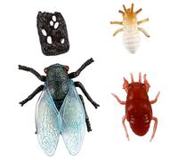 TOYANDONA Figuritas de Cicada para Ciclo de de Juguete Educativo para Aprendizaje Preescolar Simulación Realista y