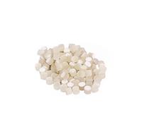 TOYANDONA Incrustaciones Fáciles de Colocar y Quitar 100 de Puntos Luminosos de 5,0 Mm Forma de Concha Marina, Ligeras para Diapasón de Guitarra y Mandolina para