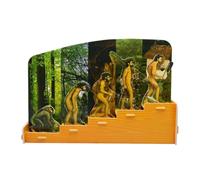 TOYANDONA Juego de Rompecabezas de Evolución Humana DIY, Material Didáctico Educativo Figuras de Colores Vivos, Modelo Científico de Historia Evolutiva para Aprendizaje y Desarrollo