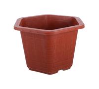 TOYANDONA Maceta Diseño Moderno y Funcional Hexagonal de Plástico Ligera Orificios de Drenaje para Bougainvillea y Árbol Fortuna en Jardín y Hogar
