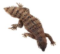 TOYANDONA Modelo de Lagarto de Simulación Realista Figurita de Plástico Educativa y Decorativa Adorno Ligero para Habitación Infantil y Decoración Temática de Reptiles