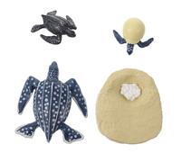 TOYANDONA Modelos De Tortugas Laúd para Niños, Modelo Cognitivo del Ciclo De Crecimiento, Educativo, Realista, para Aprendizaje De Biología, Decoración Educativa, Juego De 1 Unidad