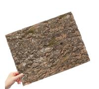 TOYANDONA Placa de Corteza de Corcho Natural para Reptiles, Plataforma de Escalada para Terrarios, Decoración Segura y Resistente para Tortugas y Lagartos, Tamaño 30x40 Cm, Adecuado